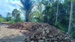 Nampak Batu berserakan dilahan milik warga